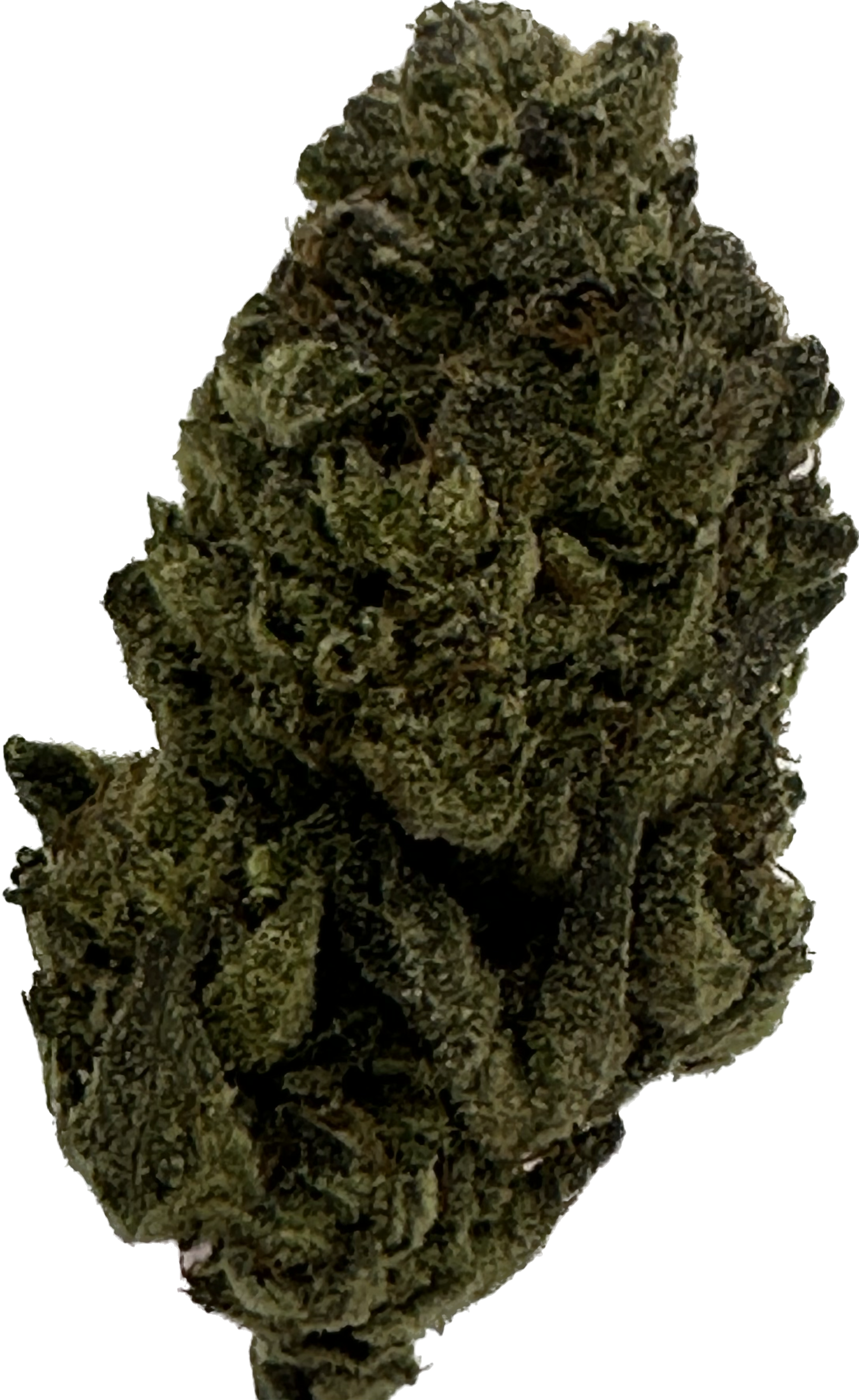 Gorilla Glue | Doobs 2 Go